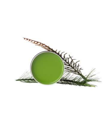 Hiker's Wound Salve- Well, You've Done Something Stupid Again:  For Wounds, Cuts, Bruises, Raw Skin, ect.